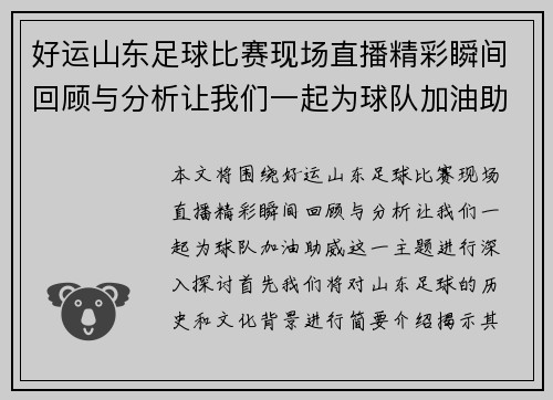 好运山东足球比赛现场直播精彩瞬间回顾与分析让我们一起为球队加油助威